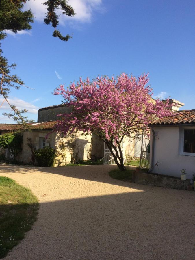 Le Logis Du Plessis Bed & Breakfast Chaniers Exterior photo