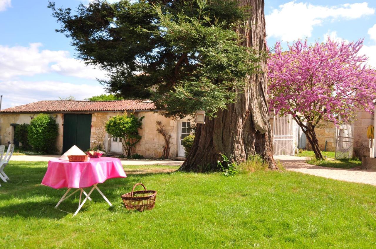 Le Logis Du Plessis Bed & Breakfast Chaniers Exterior photo