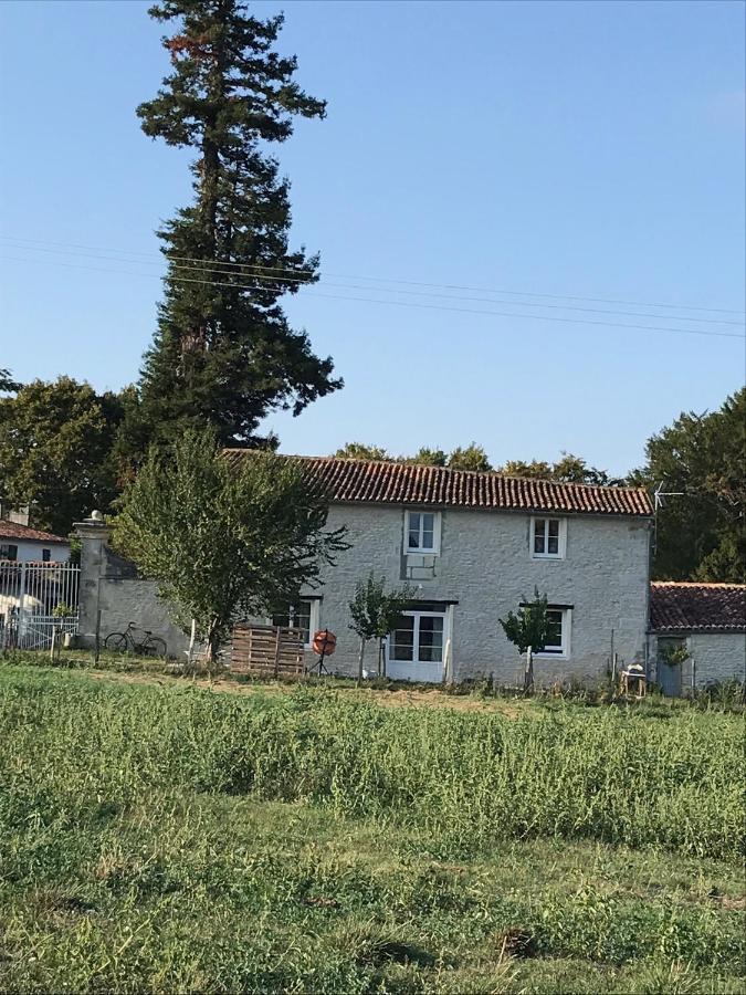 Le Logis Du Plessis Bed & Breakfast Chaniers Exterior photo